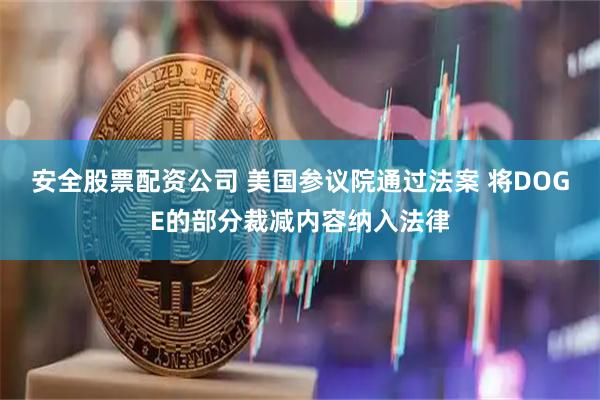 安全股票配资公司 美国参议院通过法案 将DOGE的部分裁减内容纳入法律